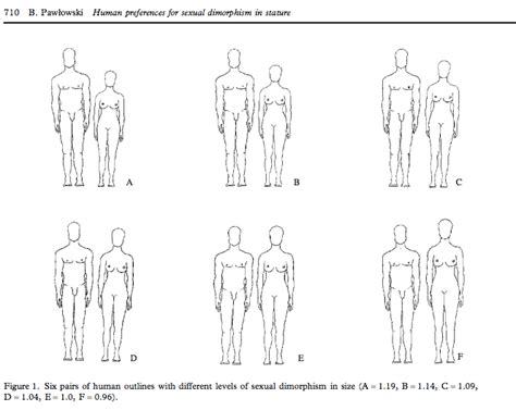 The Perfect Height Ratio For Couples: A Guide To Finding Your。